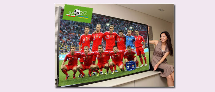 В Москве откроют фан зоны Евро-2012