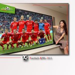 euro-2012-soccer-display